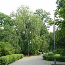 Park Planty w Kaliszu 
