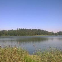 Jezioro Paniewo 