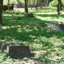 Cmentarz ewangelicki w Gdańsku Ujeścisku
