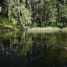 Rezerwat przyrody Jezioro Ciche