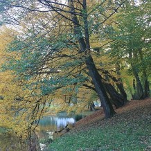 Park Oruński.