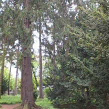 Gdańsk Oliwa - Ogród Botaniczny