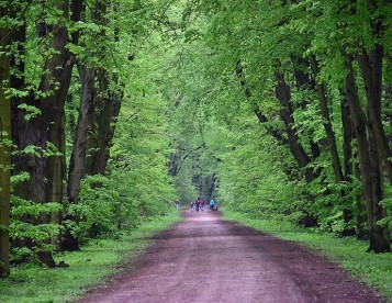 Park Młociński w Warszawie