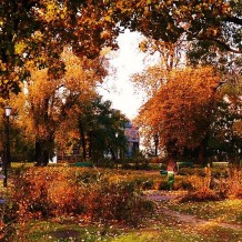 Park Karola Marcinkowskiego w Poznaniu 