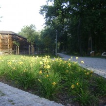 Park Zdrojowy w Konstancinie-Jeziorna