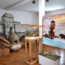 Fragment ekspozycji Muzeum Pojezierza Myśliborskiego w Myśliborzu