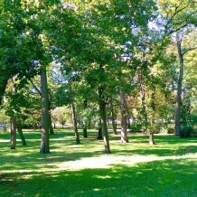 Park przy Alei Jana Pawła II