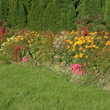 Ogród Botaniczny