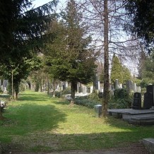 Aleja Zasłużonych na cmentarzu żydowskim w Bielsku-Białej