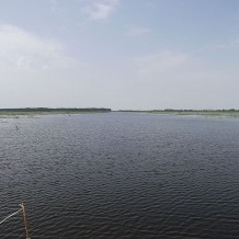 Jezioro Druzno