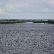 Jezioro Druzno.