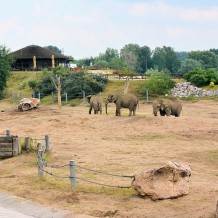 wybieg słoni w Poznańskim Nowym Zoo
