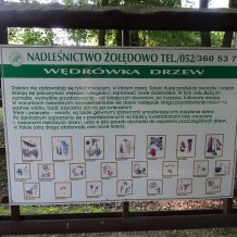 Park w Żołędowie 