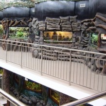 Wnętrze rozbudowanego budynku z drapieżnikami w zamojskim zoo