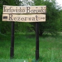 Torfowisko Borówki 