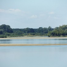 Rezerwat przyrody Kępa Antonińska