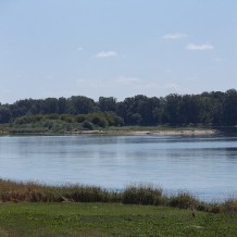 Rezerwat przyrody Kępa Rakowska