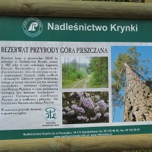 Rezerwat przyrody Góra Pieszczana