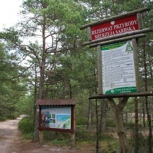Rezerwat przyrody Mierzeja Sarbska