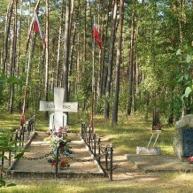 Groby w Lasach Kobylnickich