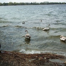 Jezioro Kierskie 