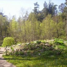 Arboretum w Kudypach