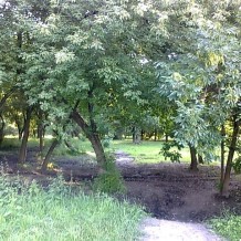 Park Ludowy w Lublinie