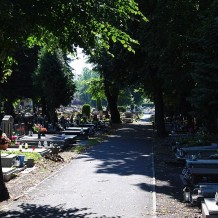 Cmentarz przy ul. Le Ronda w Katowicach
