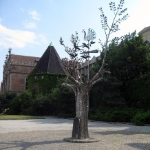 Drzewo Millennium