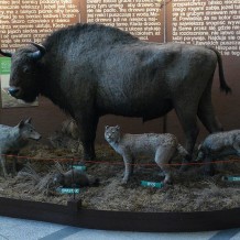 Muzeum Wiedzy o Środowisku w Poznaniu