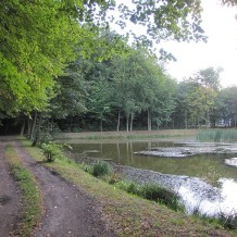 Park Ferberów