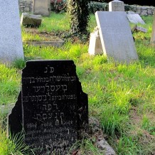 Cmentarz żydowski w Gogolinie