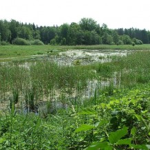 Jezioro Kościńskie