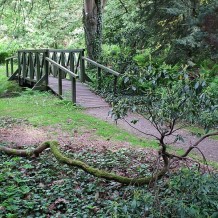 Arboretum w Lipnie