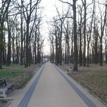 Park Zofii Las