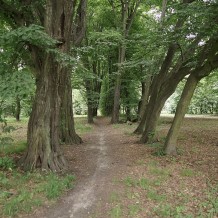 Park dworski w Łuczanowicach