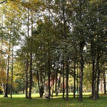 Park Wiśniowy Sad w Krakowie