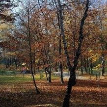 Park Wełnowiecki w Katowicach