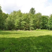 Las Załęski