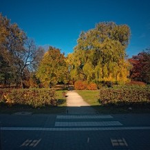Park Alojzego Budnioka w Katowicach