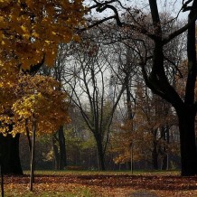 Park Bogucki w Katowicach