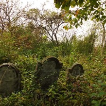 Cmentarz żydowski w Małogoszczu