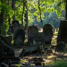 Cmentarz żydowski w Karczewie-Anielinie