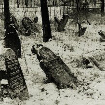 Cmentarz żydowski w Birczy