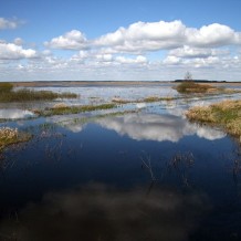 Jezioro Siemianowskie