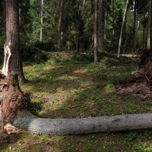 Ostoja Bobrów Marycha