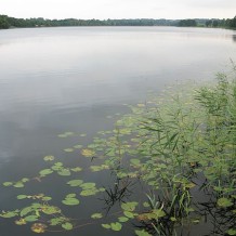 Jezioro Krzywe Filipowskie