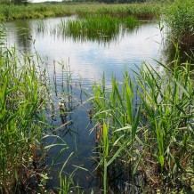 Bagno Nadrowskie