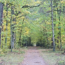 Las Sobieskiego