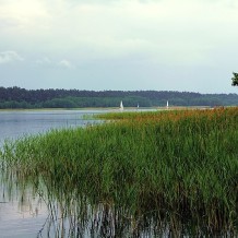 Rezerwat przyrody Jezioro Nidzkie